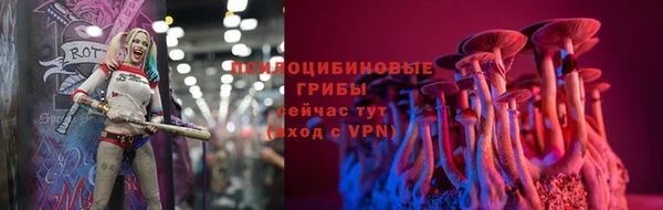 apvp Белоозёрский