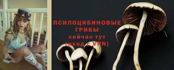 не бодяженный Беломорск